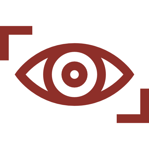 Vision